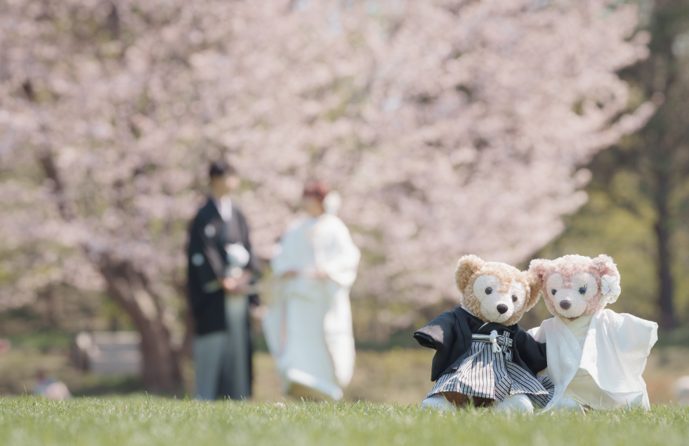 札幌中島公園桜でオトナのウェデイングフォト