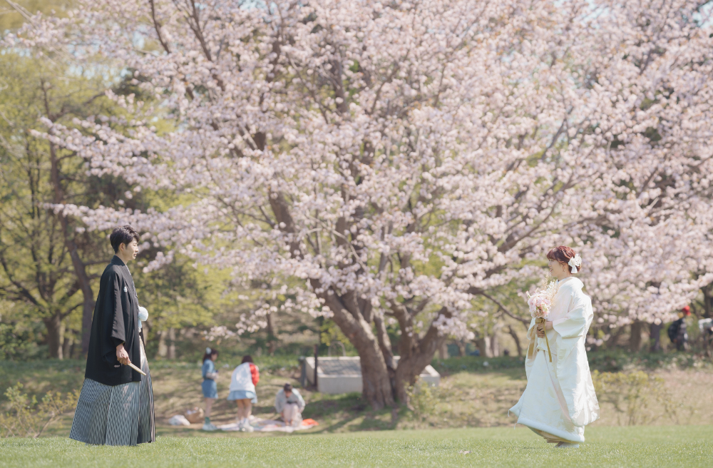 札幌中島公園桜でオトナのウェデイングフォト